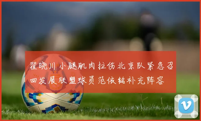 翟晓川小腿肌肉拉伤北京队紧急召回发展联盟球员范依铭补充阵容